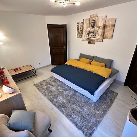Superbe F2 Terrasse, Route Du Vin, Florival Apartment Guebwiller Bagian luar foto