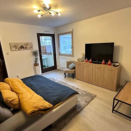 Superbe F2 Terrasse, Route Du Vin, Florival Apartment Guebwiller Bagian luar foto